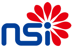NSI (Ningbo Semiconductor International / SMIC Ningbo) foundry logo