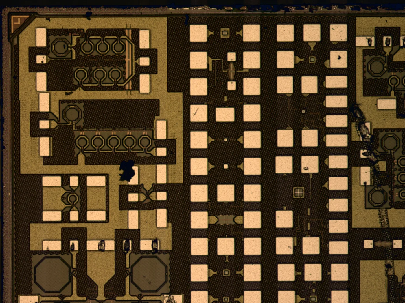 Turnkey ASIC Solutions visual